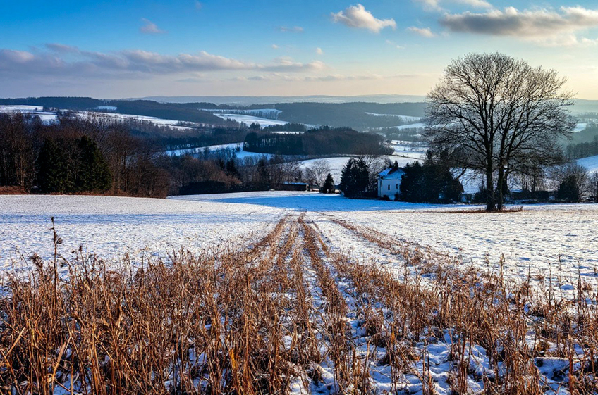 Народный календарь с 29 декабря 2025 по 18 января 2026 года