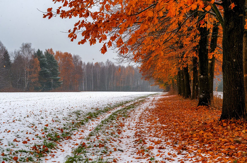 Народный календарь с 17-го по 22 ноября