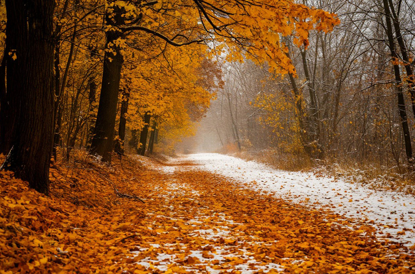 Народный календарь с 10-го по 16 ноября