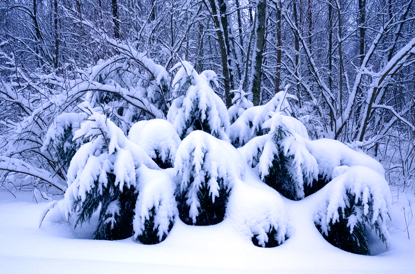 Народный календарь со 2-го по 8 февраля
